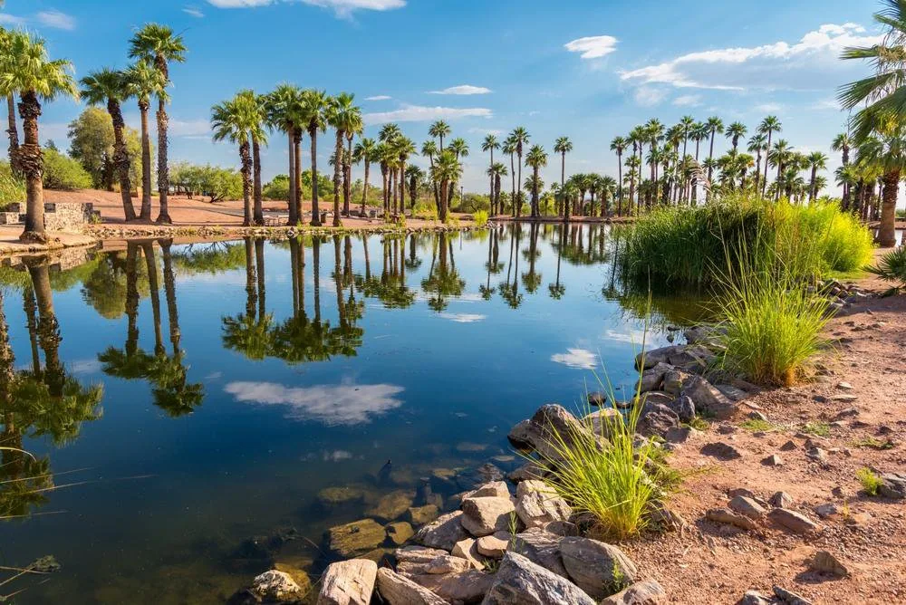 Mesa, AZ